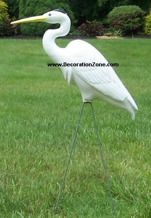 Garden Egret