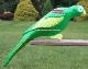 Garden Parrot - Green