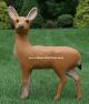 Garden Deer - Doe