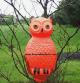 Orange Hanging Owl